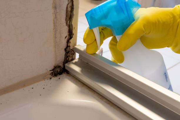 Attic Mold Removal in Highland Lakes, NJ